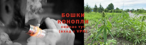2c-b Верхний Тагил