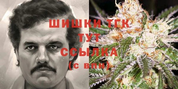 МДПВ Верея