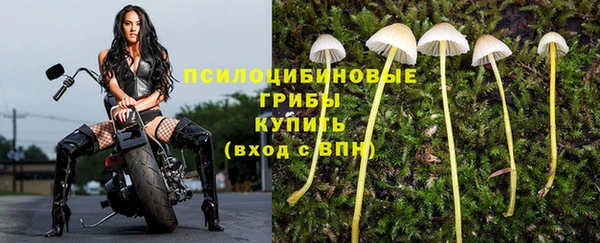 МДПВ Верея