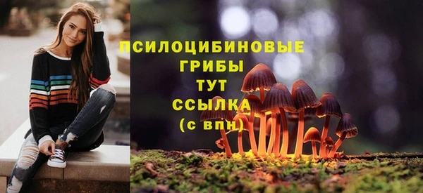 2c-b Верхний Тагил
